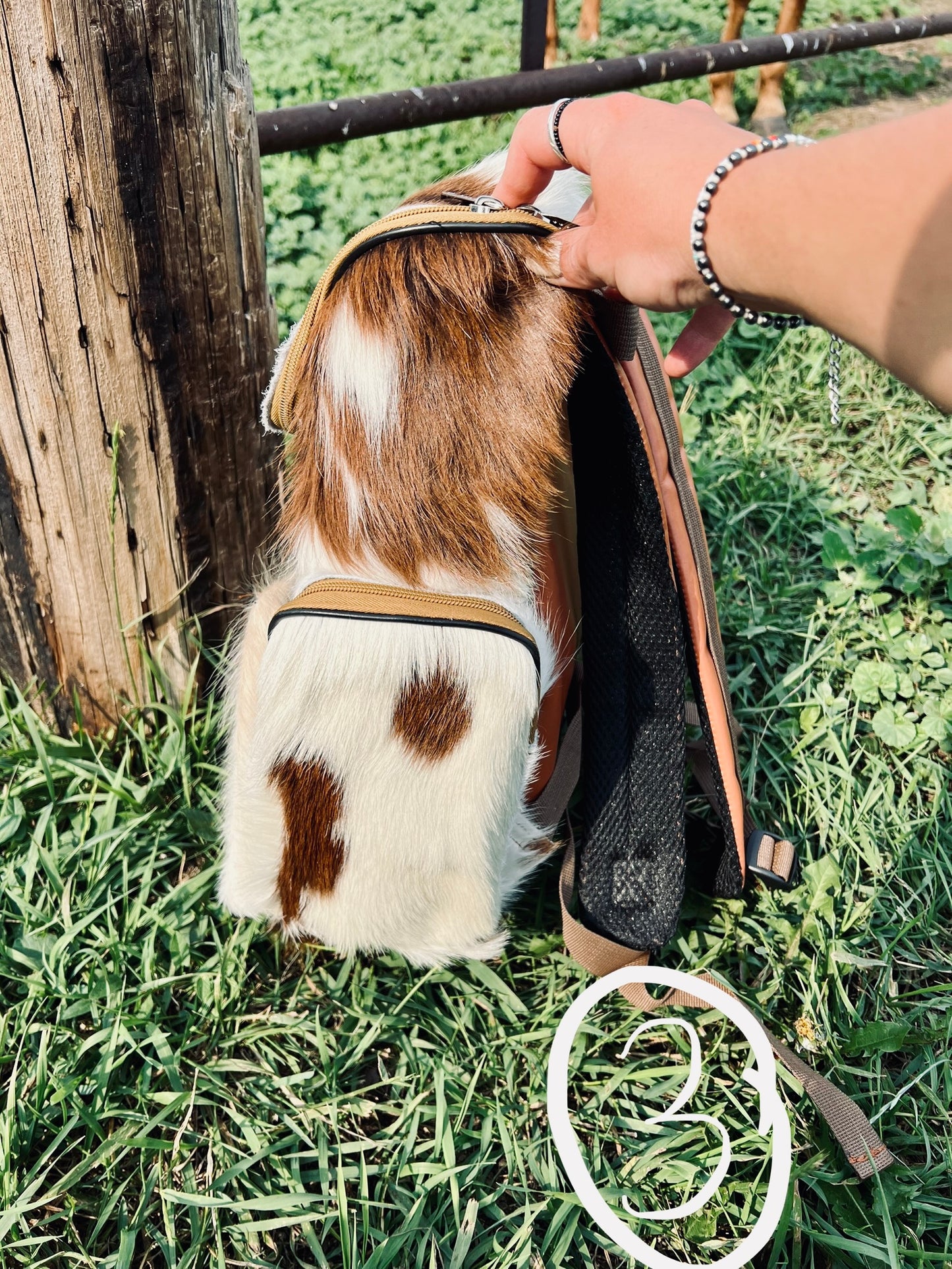 Cattle Drive Backpack